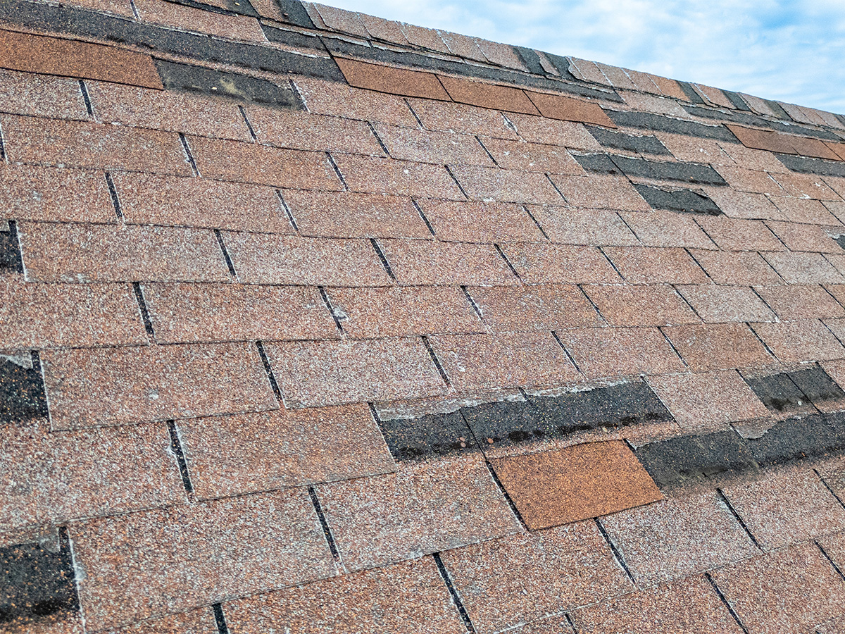 Diamondback Roofing LLC project